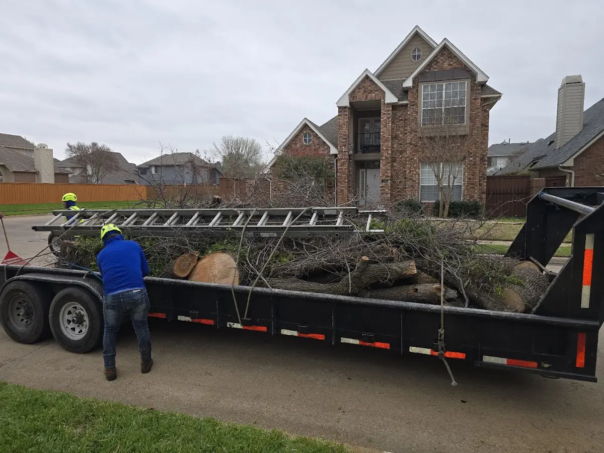 Expert Tree Fertilization with proper safety equipment in Lincolnville